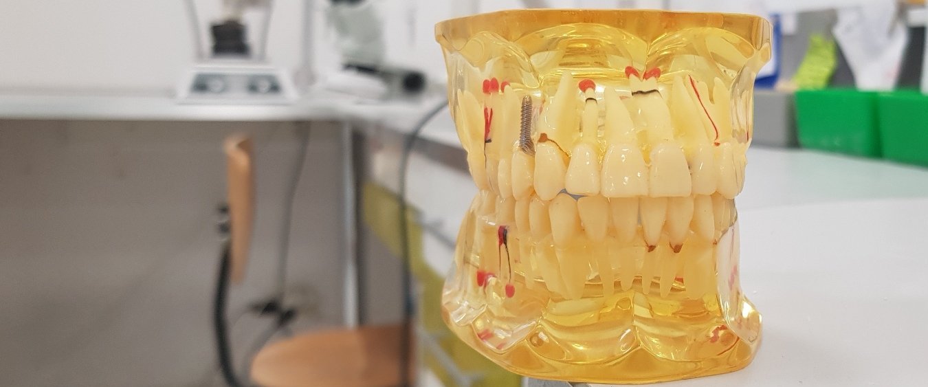 dentysta Warszawa Wesoła